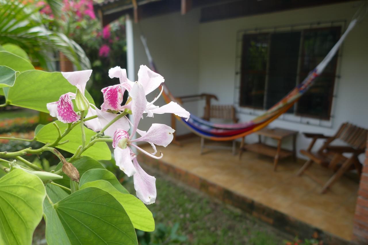 Escape Caribeno Hotel Puerto Viejo de Talamanca Екстериор снимка
