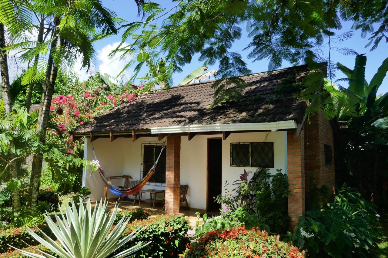 Escape Caribeno Hotel Puerto Viejo de Talamanca Екстериор снимка