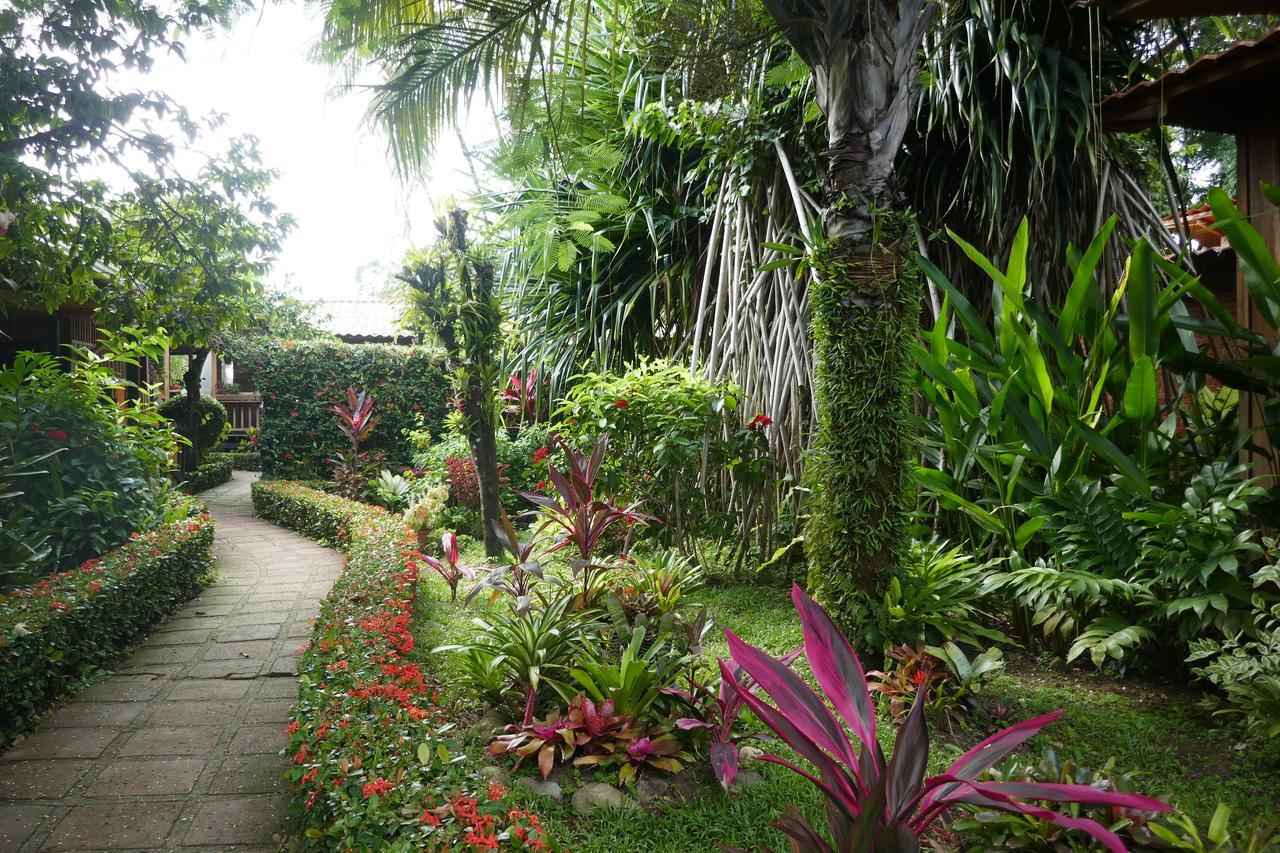Escape Caribeno Hotel Puerto Viejo de Talamanca Екстериор снимка
